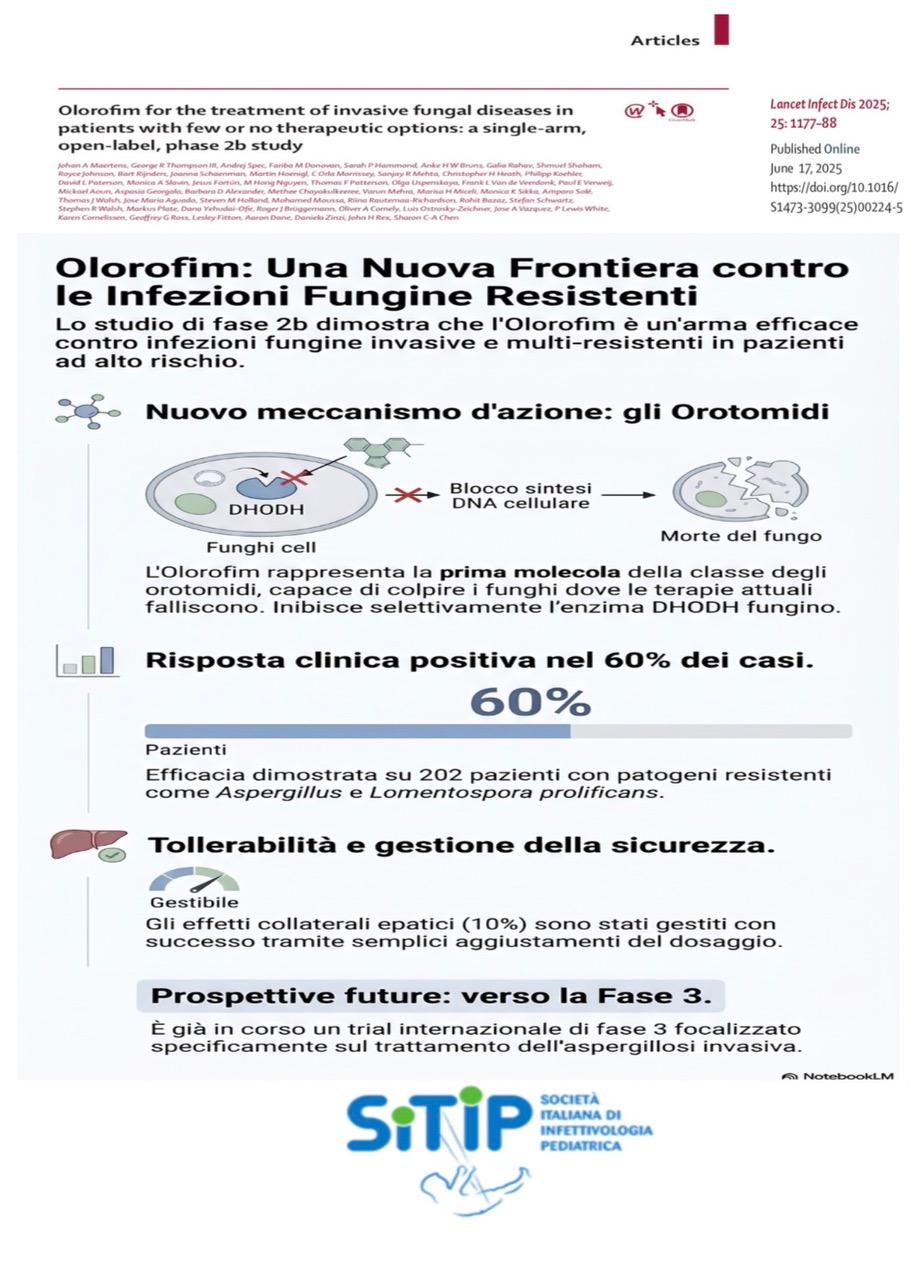 Olorofim Una nuova frontiera contro le infezioni fungine resistenti